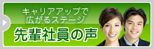 先輩社員の声